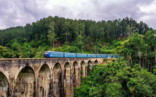 Sri Lankan Highlands: Unforgettable Moments in the Heart of Nuwara Eliya